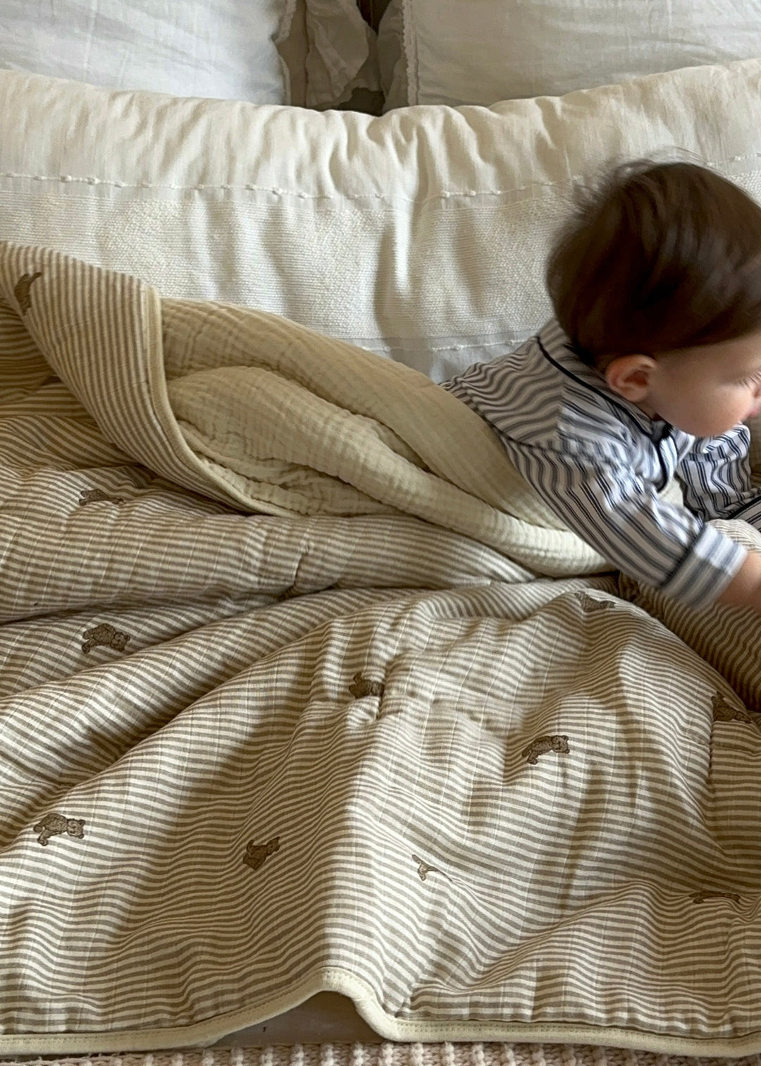 Oilo Bear | Premium Muslin Crib Quilt & Sham Set