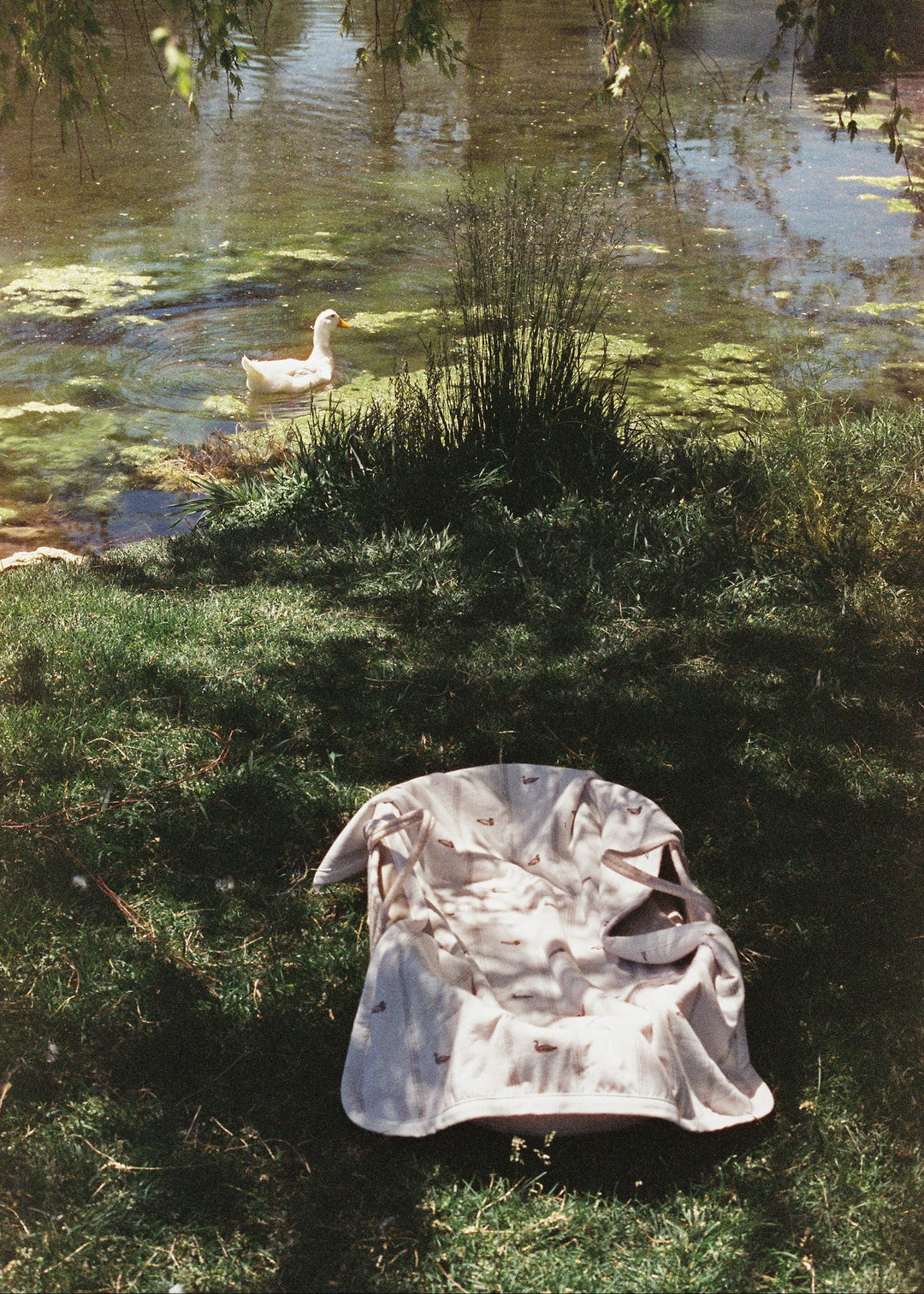 Oilo Mallard Duck | Cuddle Blanket