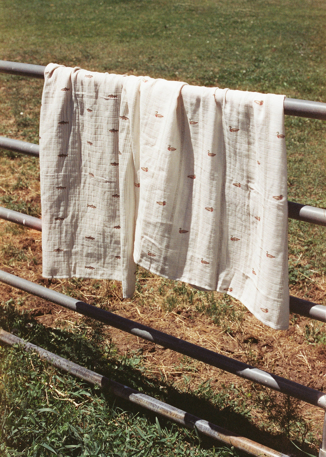 Oilo Mallard Duck & Trout | Muslin Swaddle Blanket Set