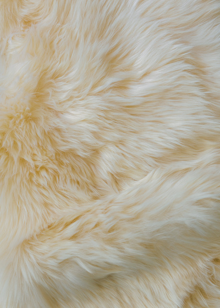 Oilo Real Fur Rug | Highland Hide Cream