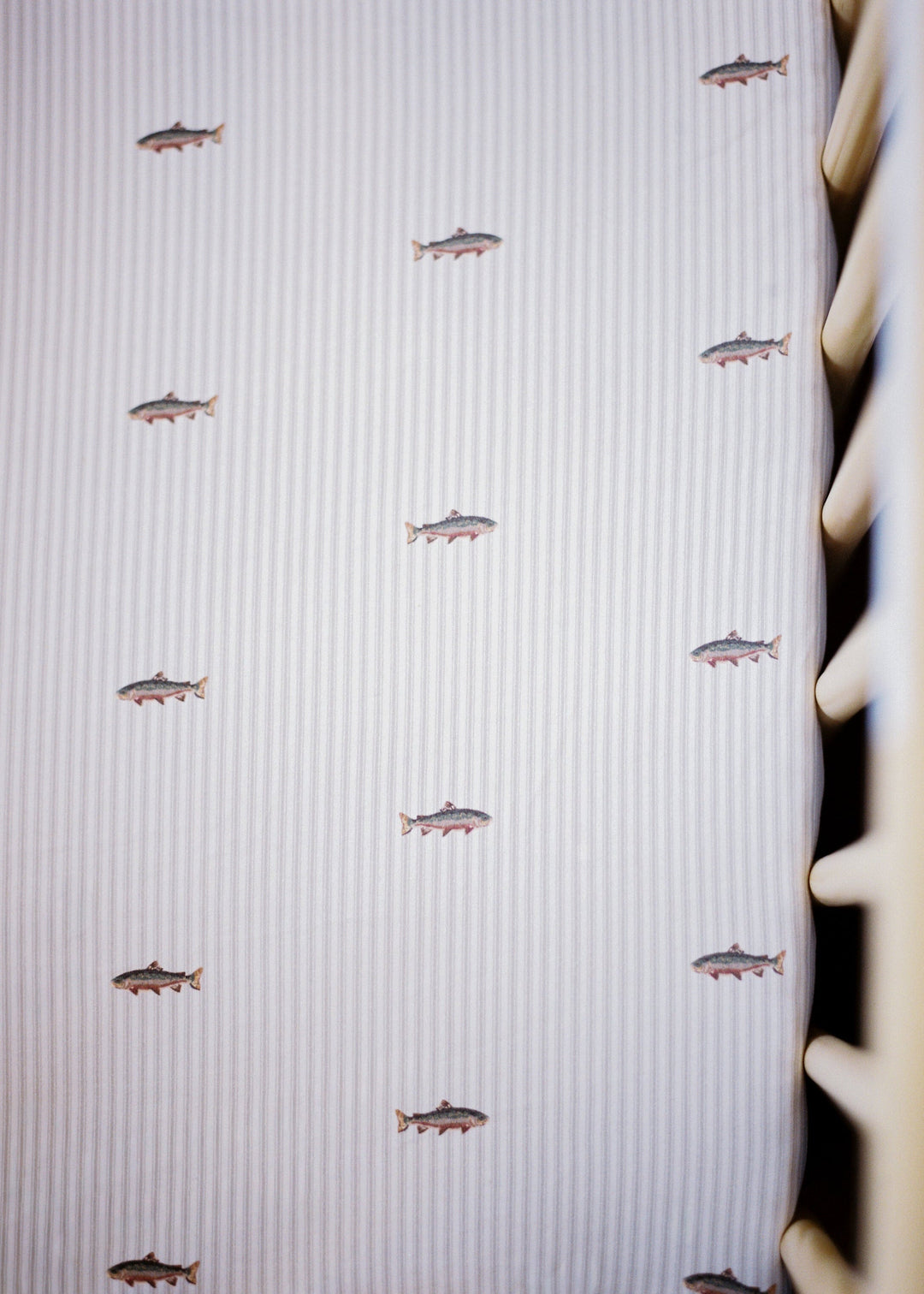 Oilo Trout | Crib Sheet