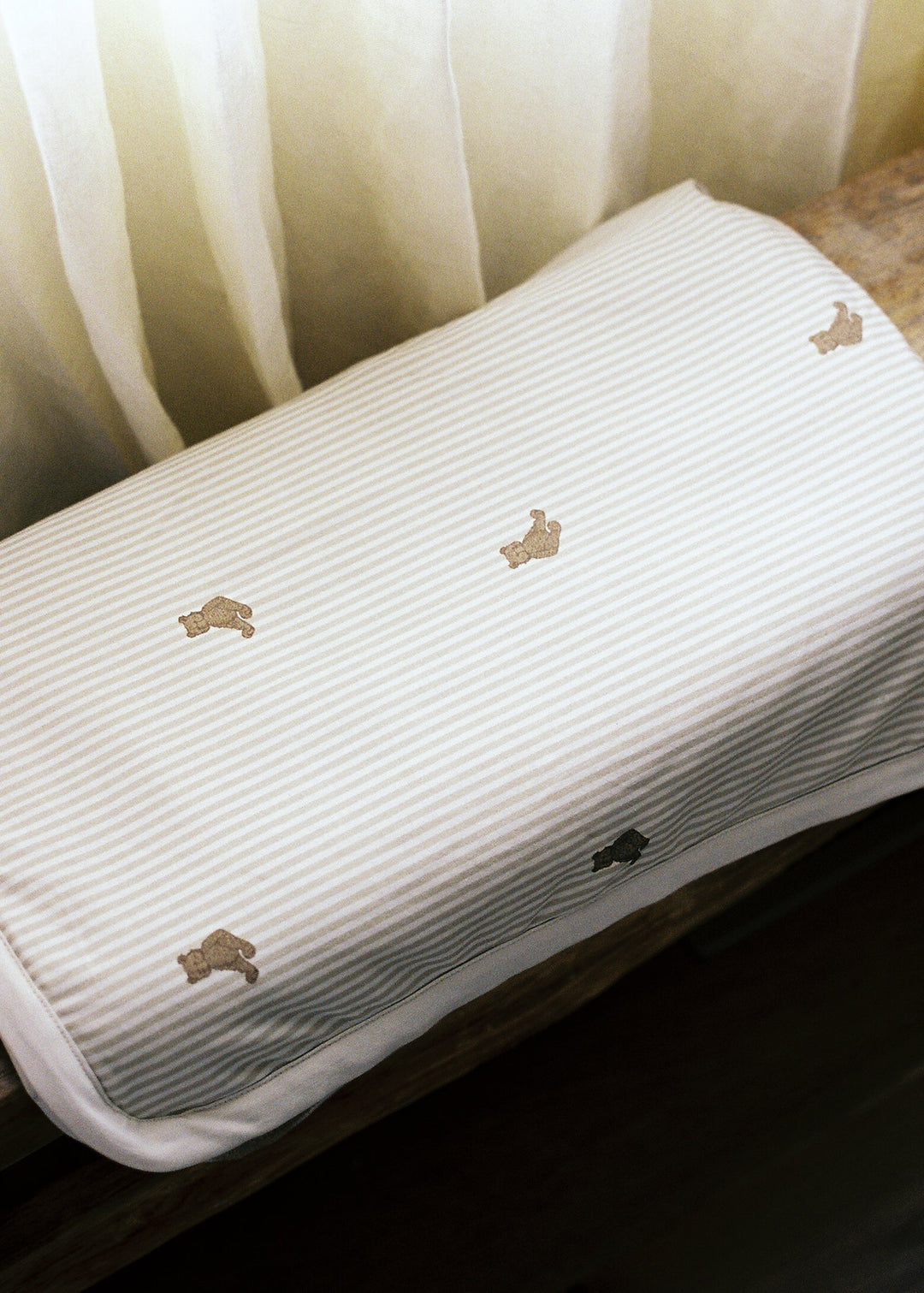 Oilo Bear | Cuddle Blanket