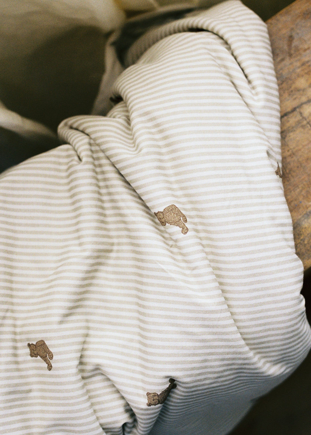Oilo Bear | Cuddle Blanket