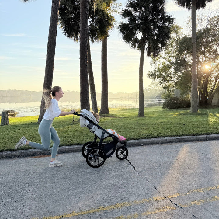 UPPAbaby Ridge V2 All-Terrain Stroller