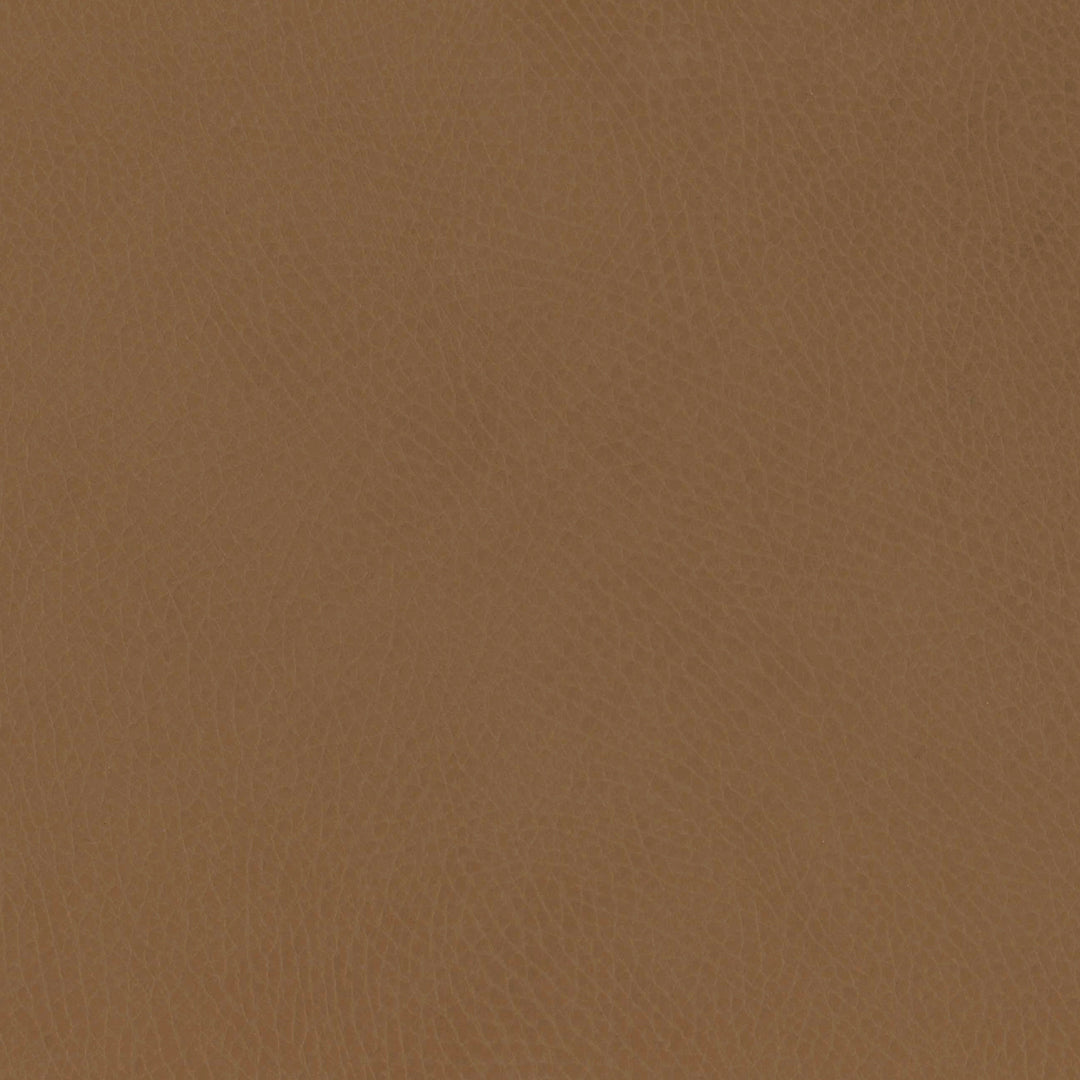 M26834GCLB,Babyletto,babyletto x GATHRE Capsule Bassinet in Camel