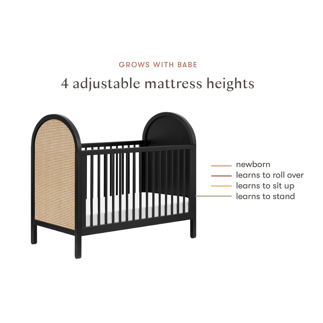 Babyletto Bondi Cane 3-in-1 Convertible Crib with Toddler Bed Conversion Kit