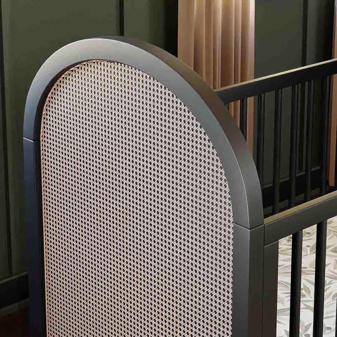 Babyletto Bondi Cane 3-in-1 Convertible Crib with Toddler Bed Conversion Kit