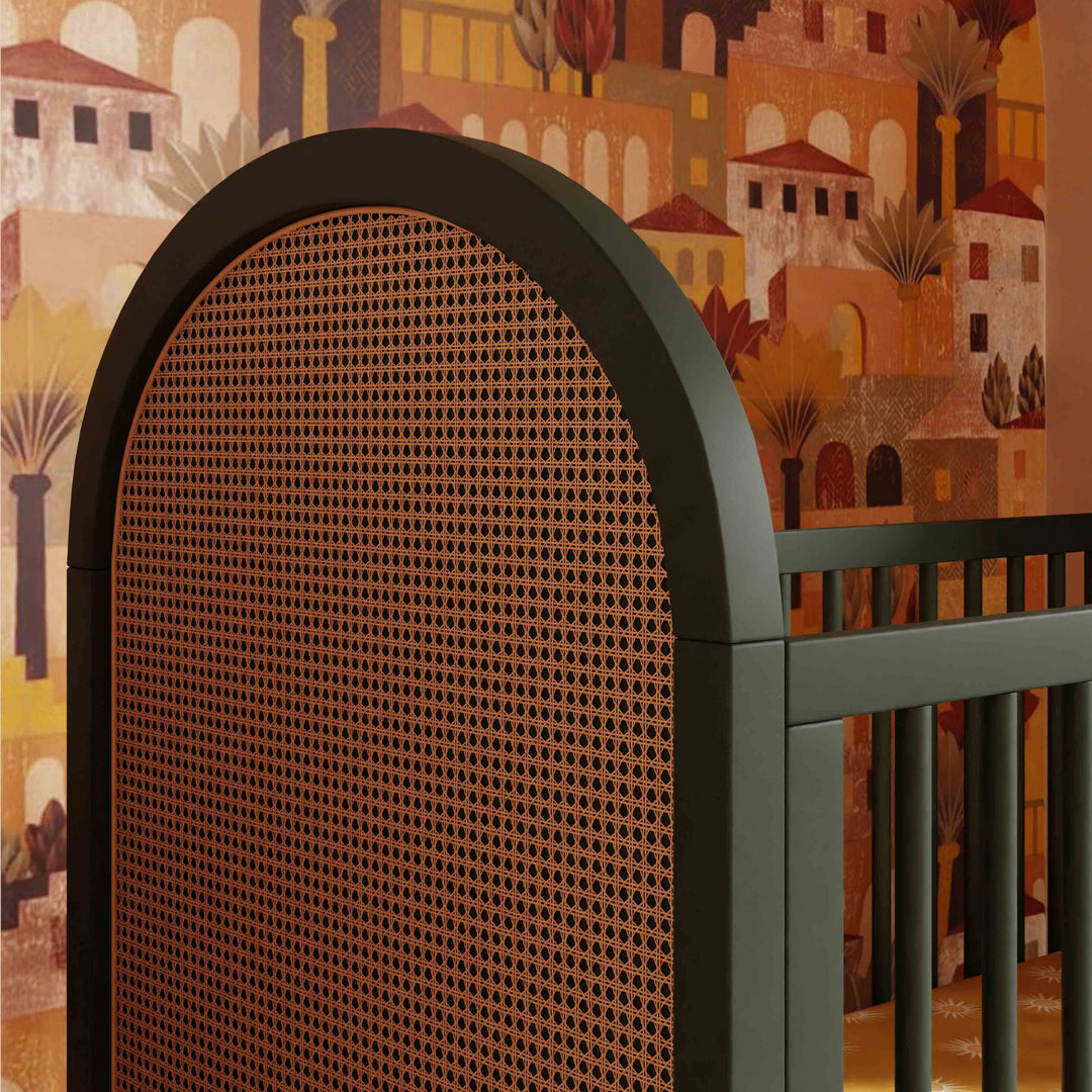 Babyletto Bondi Cane 3-in-1 Convertible Crib with Toddler Bed Conversion Kit